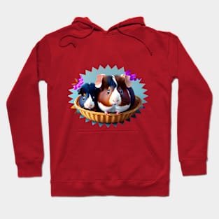 Cute guinea pigs Hoodie